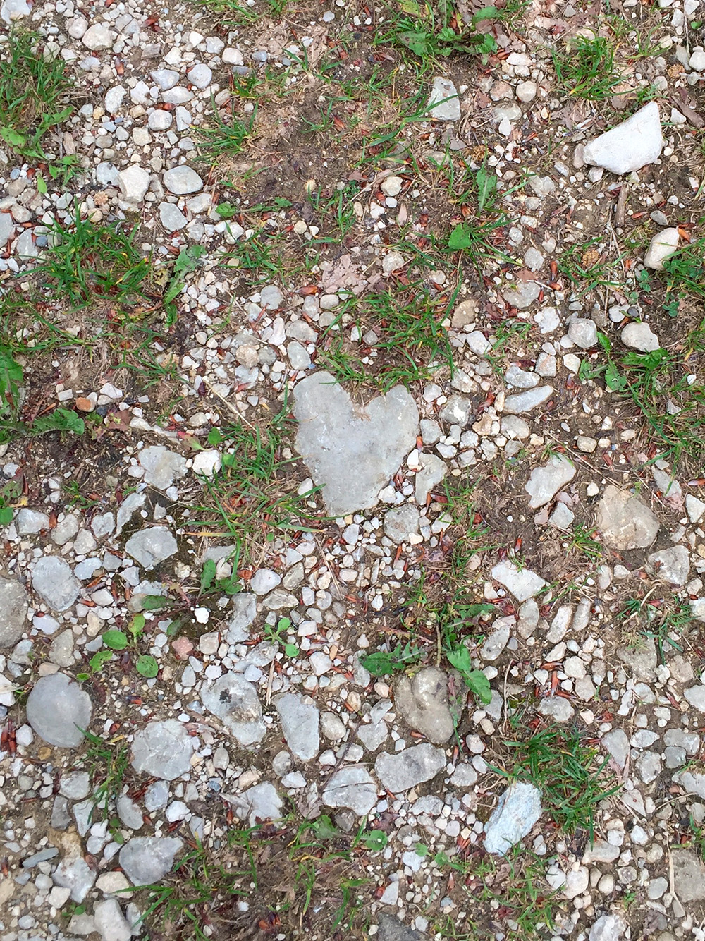 amour champetre