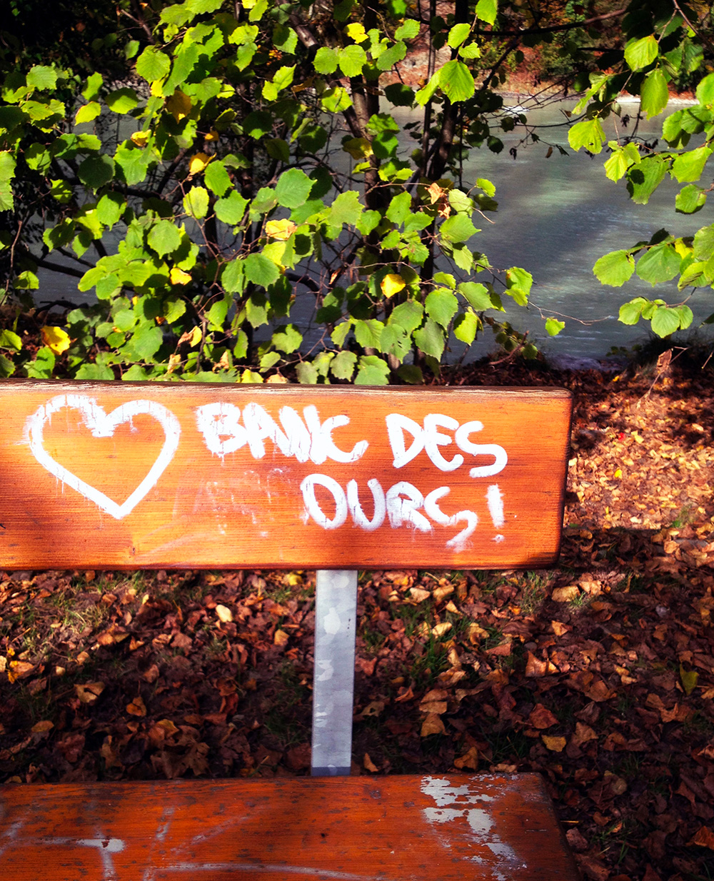 banc des ours