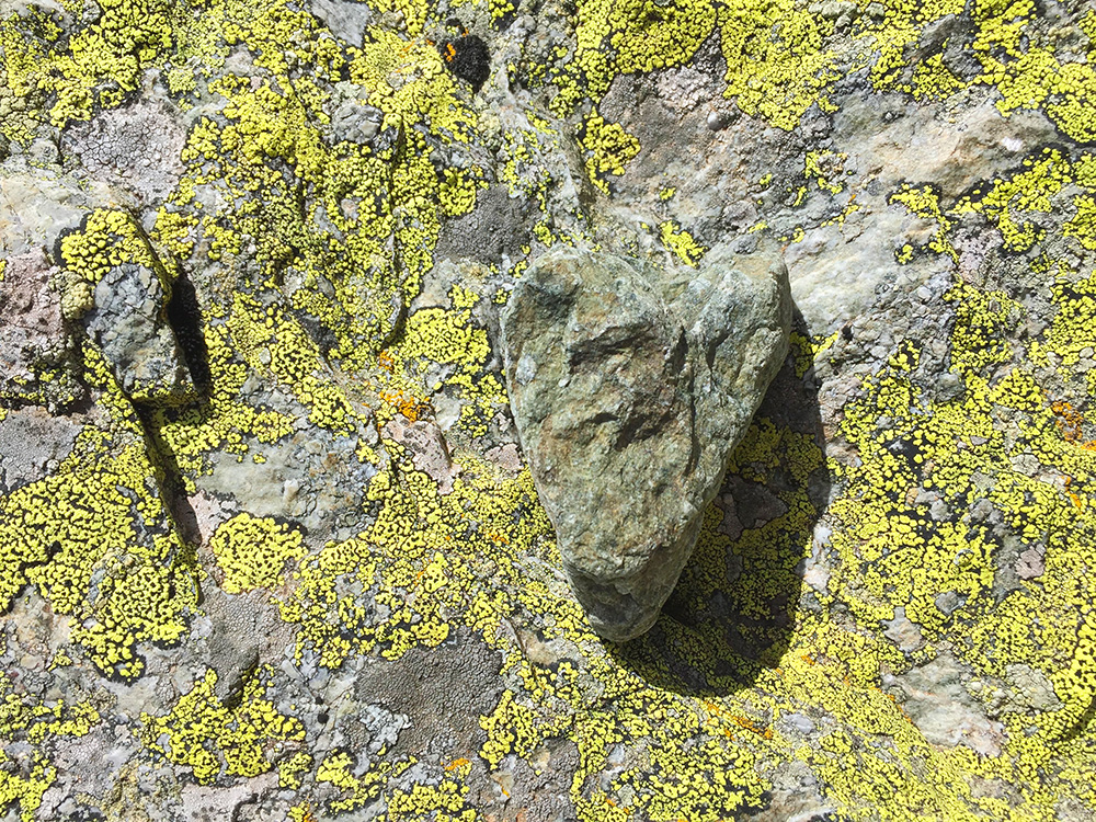 coeur alpiniste