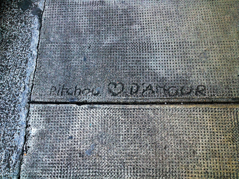 pitchou d&rsquo;amour