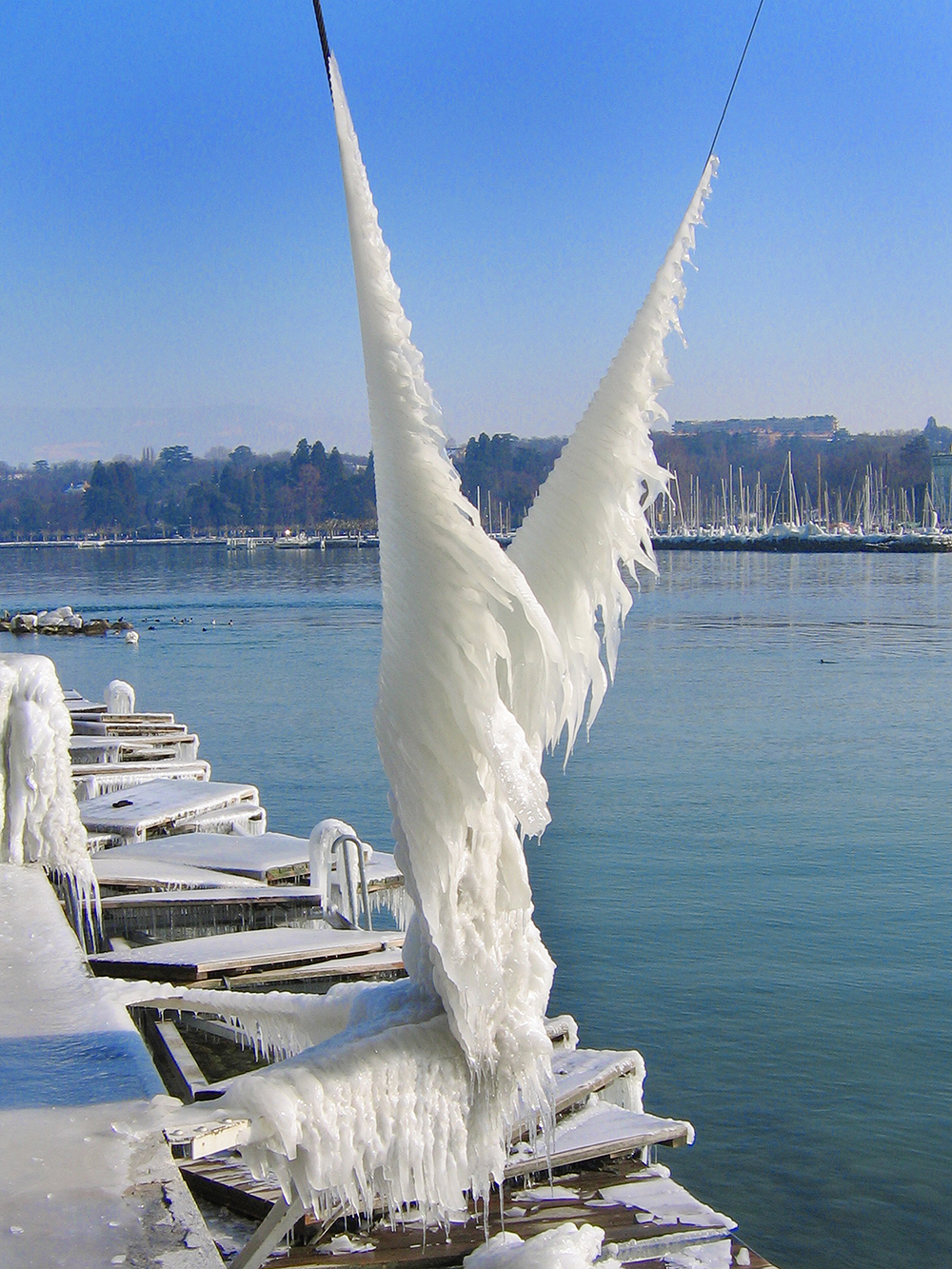 bains des paquis – glace