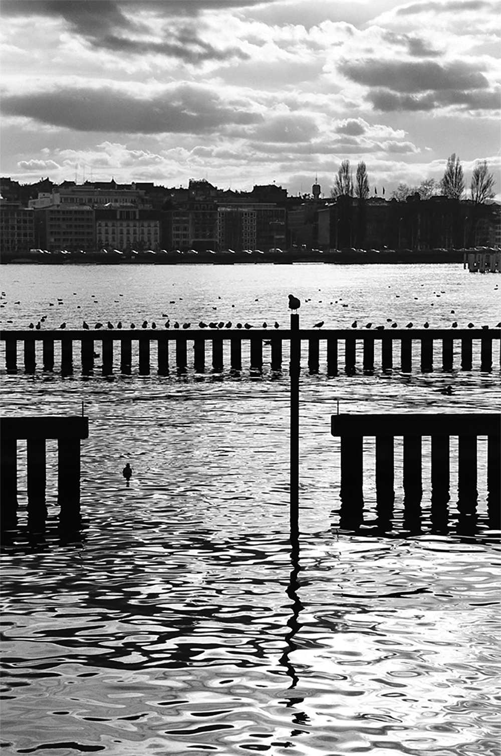 bains_b horizon paraleles copie