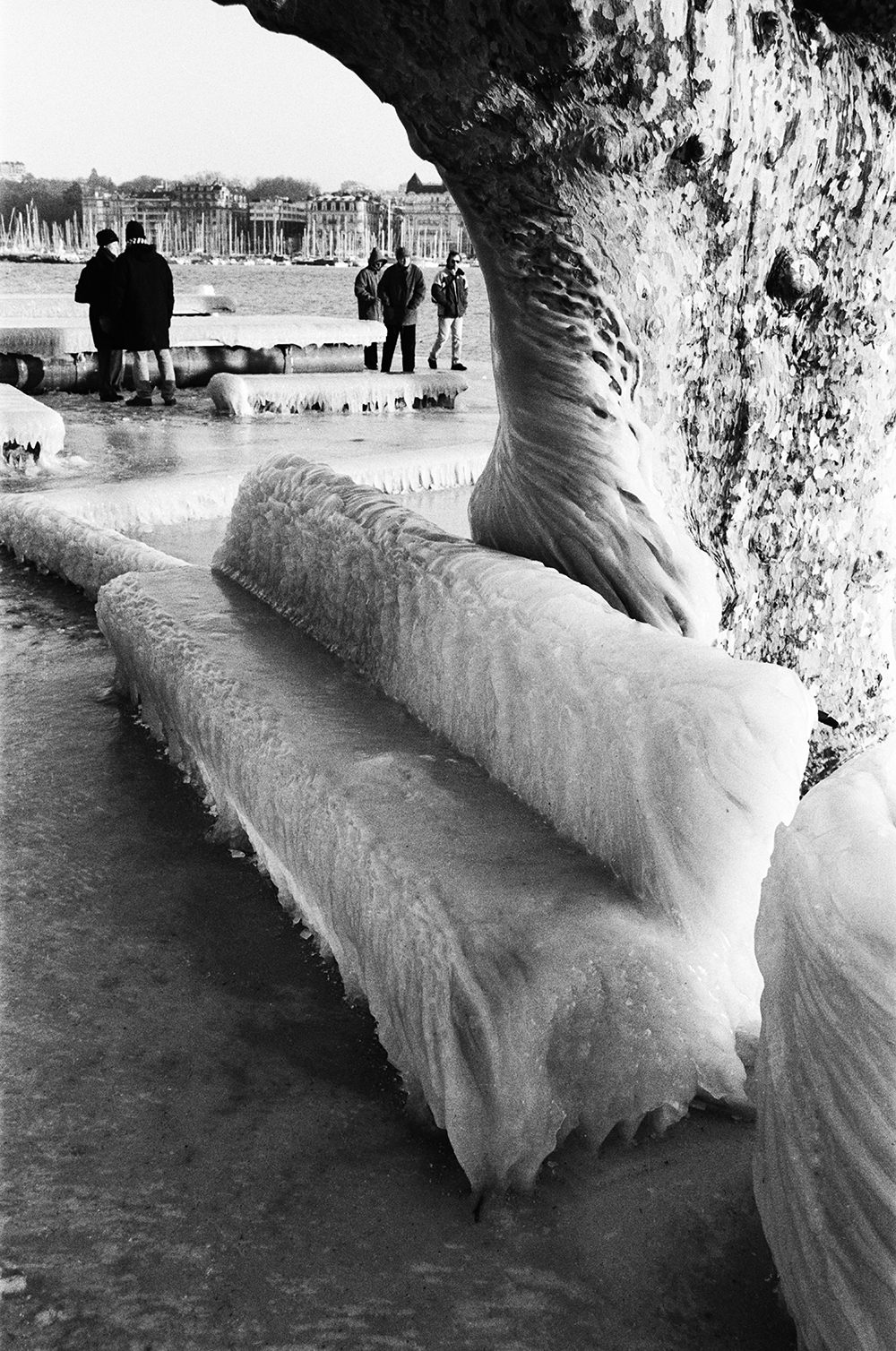 bains_n-b banc glace