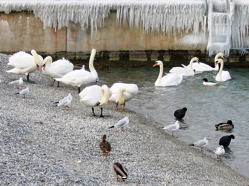 bains_signes